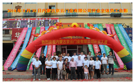 呼和浩特豪華電動(dòng)伸縮門